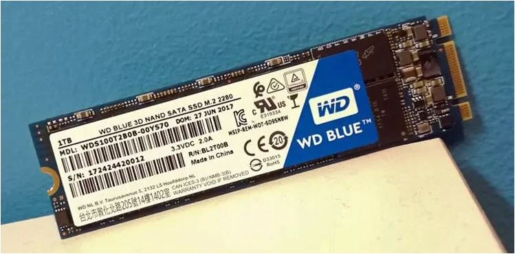 حافظه های حالت جامد (اس اس دی) SSD - درگاه m.2 2280